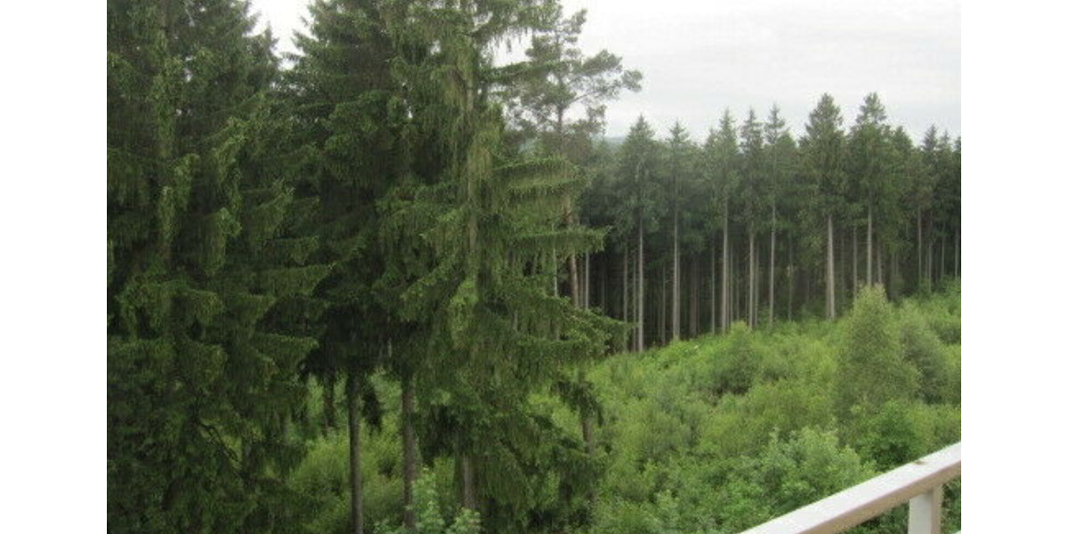 Etagenwohnung Aue-Bad Schlema Bad Schlema - 3 Zimmer, 58 m&sup2;, 250&euro; | Angebot:24770506