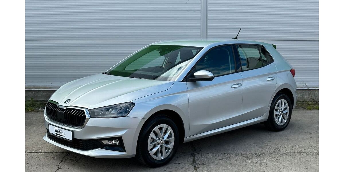 Skoda Fabia 19.090 km 18.590 &euro; Zwönitz / OT Dorfchemnitz 08297