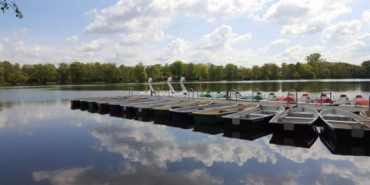 Etagenwohnung Zwickau Innenstadt - 2 Zimmer, 62 m&sup2;, 59.000&euro; | Angebot:25707460