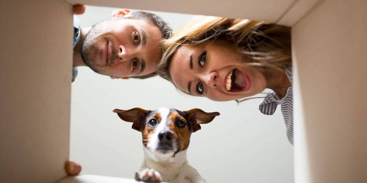 Einfamilienhaus Kirchberg Sachsen Cunersdorf - 4 Zimmer, 174 m&sup2;, 383.499&euro; | Angebot:26028140