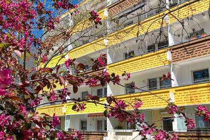 Wohnung Zwickau Eckersbach - 3 Zimmer, 71 m&sup2;, 441&euro; | Angebot:25680128