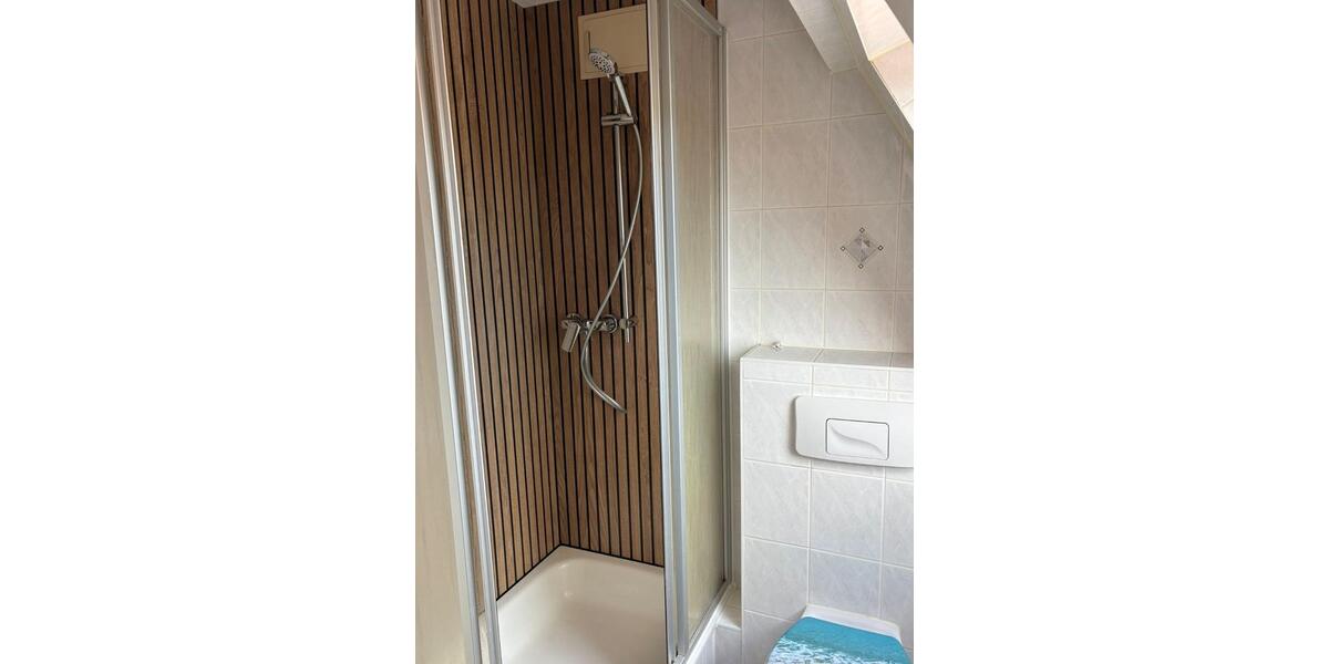 Dachgeschoßwohnung Zwickau Zwickau-West - 2 Zimmer, 35 m&sup2;, 230&euro; | Angebot:25219046