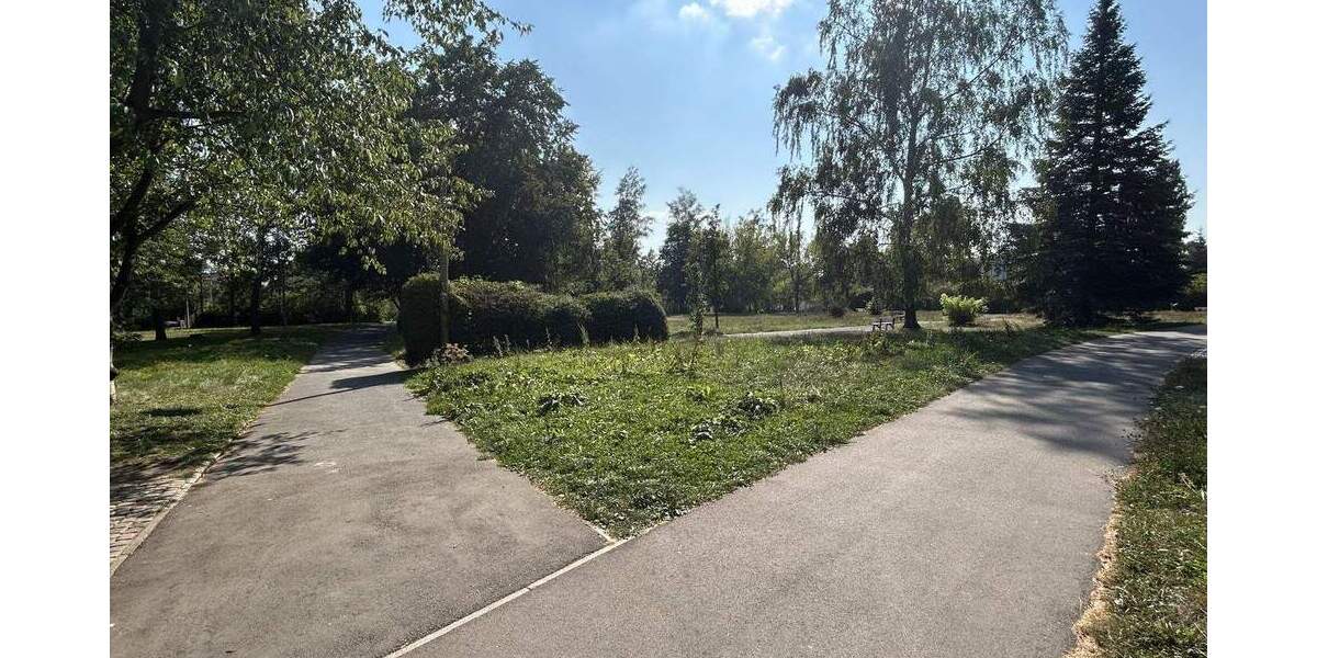 Etagenwohnung Zwickau Marienthal - 2 Zimmer, 43 m&sup2;, 52.600&euro; | Angebot:25707429