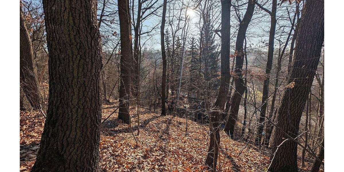 Grundstück Zwickau Auerbach - 119.000&euro; | Angebot:25700090