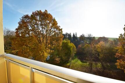 Wohnung Hohenstein-Ernstthal Ernstthal - 2 Zimmer, 46 m&sup2;, 311&euro; | Angebot:20145474