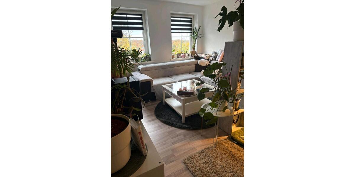 Etagenwohnung Meerane - 3 Zimmer, 64 m&sup2;, 549&euro; | Angebot:24589482