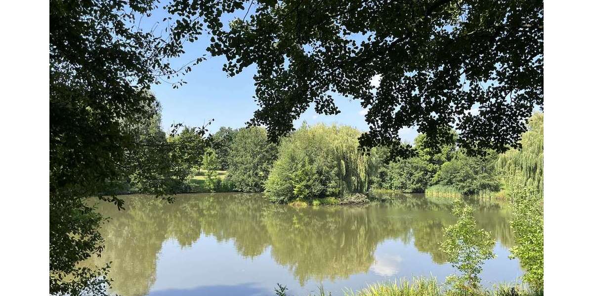 Etagenwohnung Zwickau Neuplanitz - 2 Zimmer, 51 m&sup2;, 279&euro; | Angebot:23580567