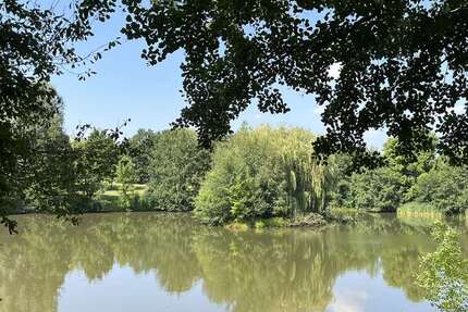 Wohnung Zwickau Neuplanitz - 2 Zimmer, 51 m&sup2;, 279&euro; | Angebot:23580567