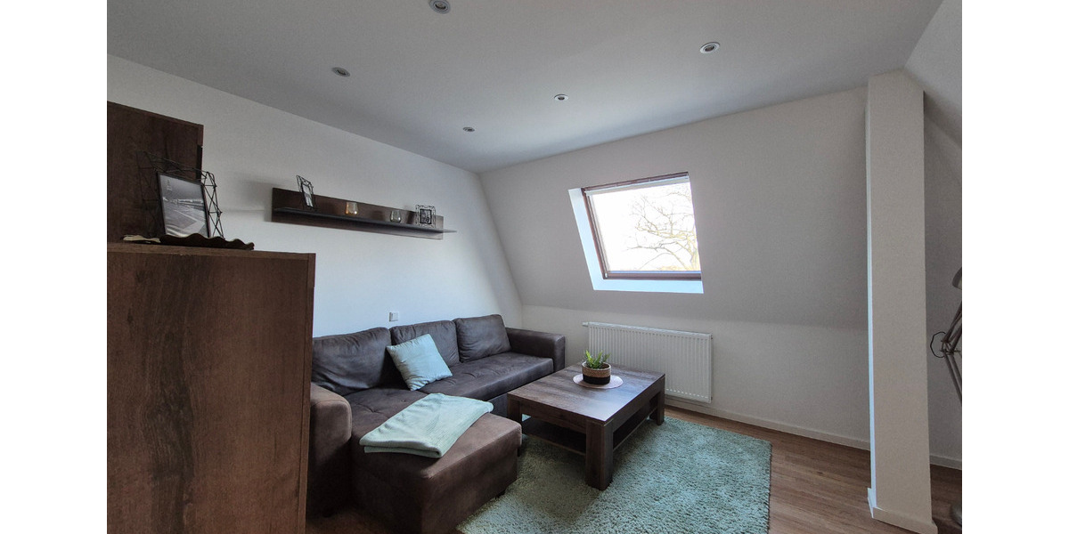 Dachgeschoßwohnung Zwickau Zwickau-Nord - 2 Zimmer, 61 m&sup2;, 700&euro; | Angebot:24533180