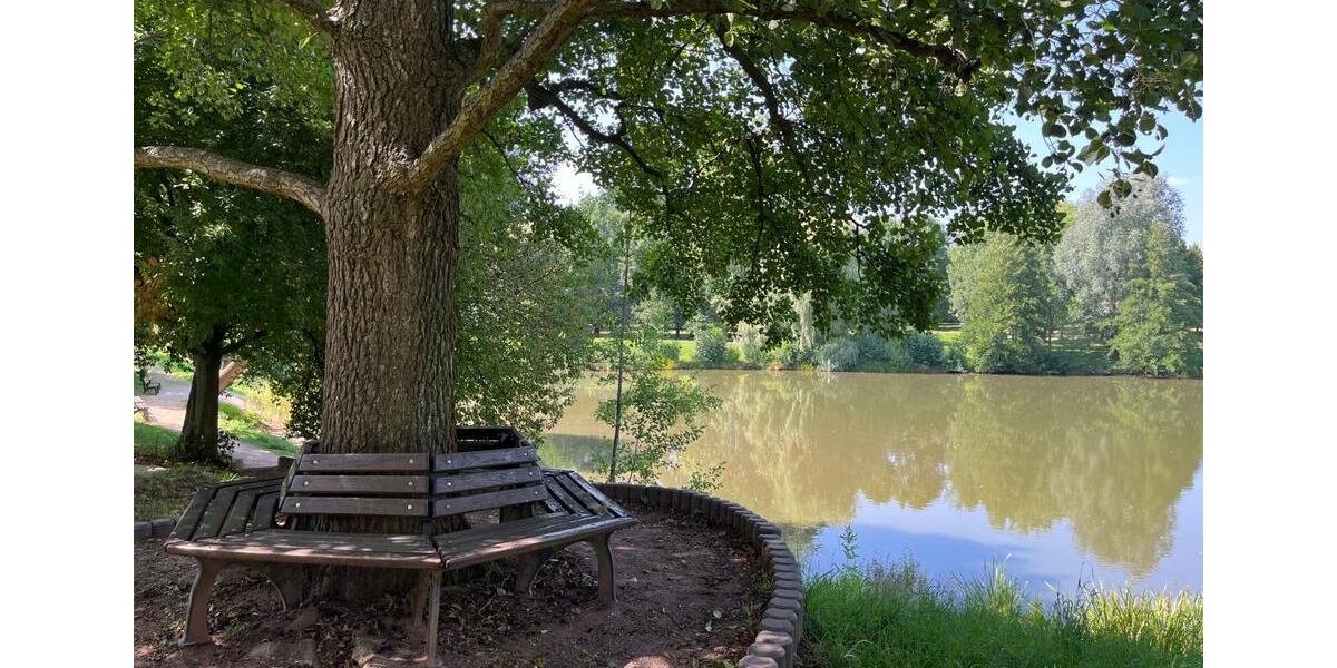 Etagenwohnung Zwickau Neuplanitz - 4 Zimmer, 70 m&sup2;, 349&euro; | Angebot:22153022