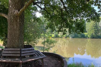 Wohnung Zwickau Neuplanitz - 4 Zimmer, 70 m&sup2;, 349&euro; | Angebot:22153022