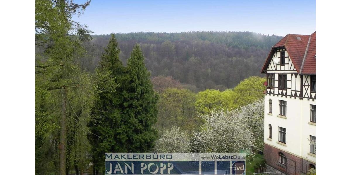 Etagenwohnung Greiz - 3 Zimmer, 75 m&sup2;, 400&euro; | Angebot:24691413