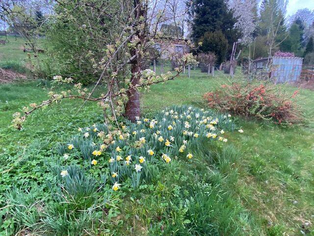 Mehrfamilienhaus, Wohnhaus Lößnitz - 1 Zimmer, 208 m&sup2;, 85.000&euro; | Angebot:25660495