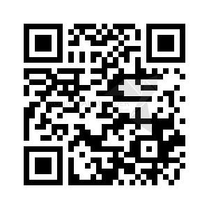 Dachgeschoßwohnung Zwickau - 4 Zimmer, 80 m&sup2;, 499&euro; | Angebot:25220593