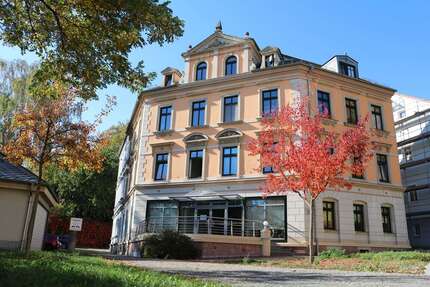 Wohnung Zwickau Mitte-West - 1 Zimmer, 35 m&sup2;, 300&euro; | Angebot:24598981