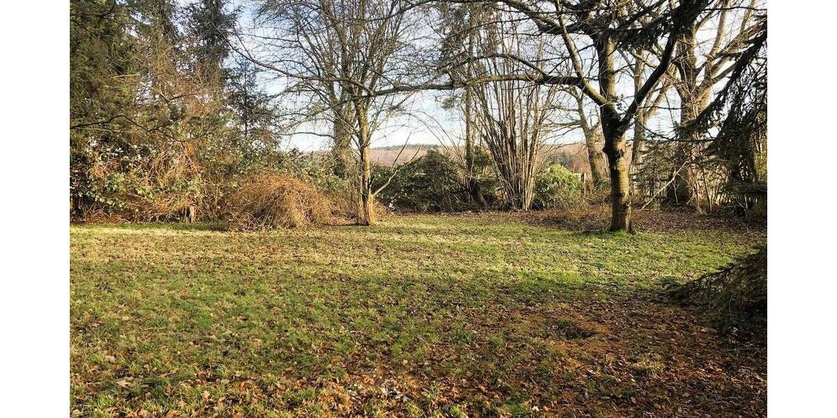 Grundstück Lichtentanne Schönfels - 45.000&euro; | Angebot:25678793