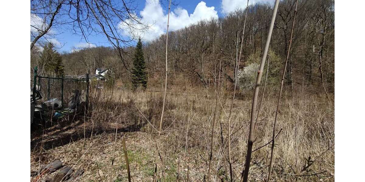 Grundstück Werdau - 49.000&euro; | Angebot:20433190