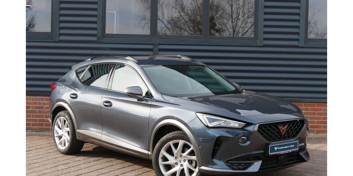 Cupra Formentor 76.490 km 25.890 &euro; Schneeberg 08289