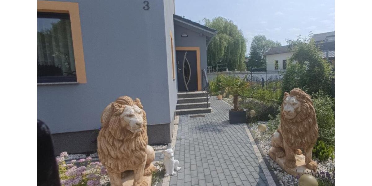 Einfamilienhaus St. Egidien - 7 Zimmer, 225 m&sup2;, 555.555&euro; | Angebot:25945835