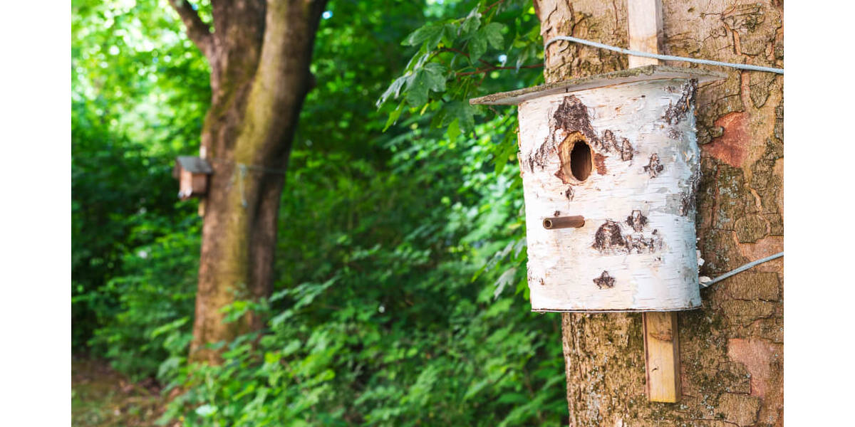 Etagenwohnung Zwickau Eckersbach - 2 Zimmer, 49 m&sup2;, 343&euro; | Angebot:25996632