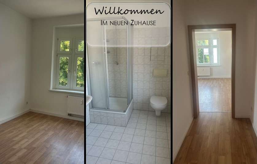 Etagenwohnung Zwickau Niederplanitz - 1 Zimmer, 36 m&sup2;, 210&euro; | Angebot:26031813