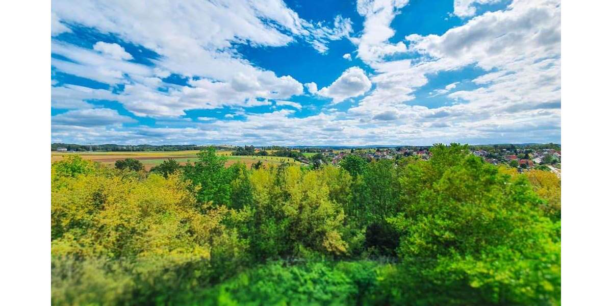 Etagenwohnung Zwickau Eckersbach - 3 Zimmer, 55 m&sup2;, 330&euro; | Angebot:25733945