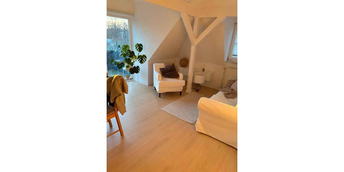 Dachgeschoßwohnung Zwickau Zwickau-Nord - 2 Zimmer, 46 m&sup2;, 390&euro; | Angebot:26305391