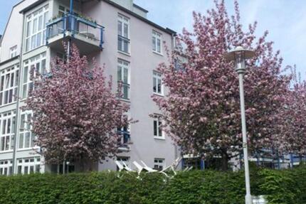 Wohnung Zwickau - 3 Zimmer, 63 m&sup2;, 420&euro; | Angebot:21576665