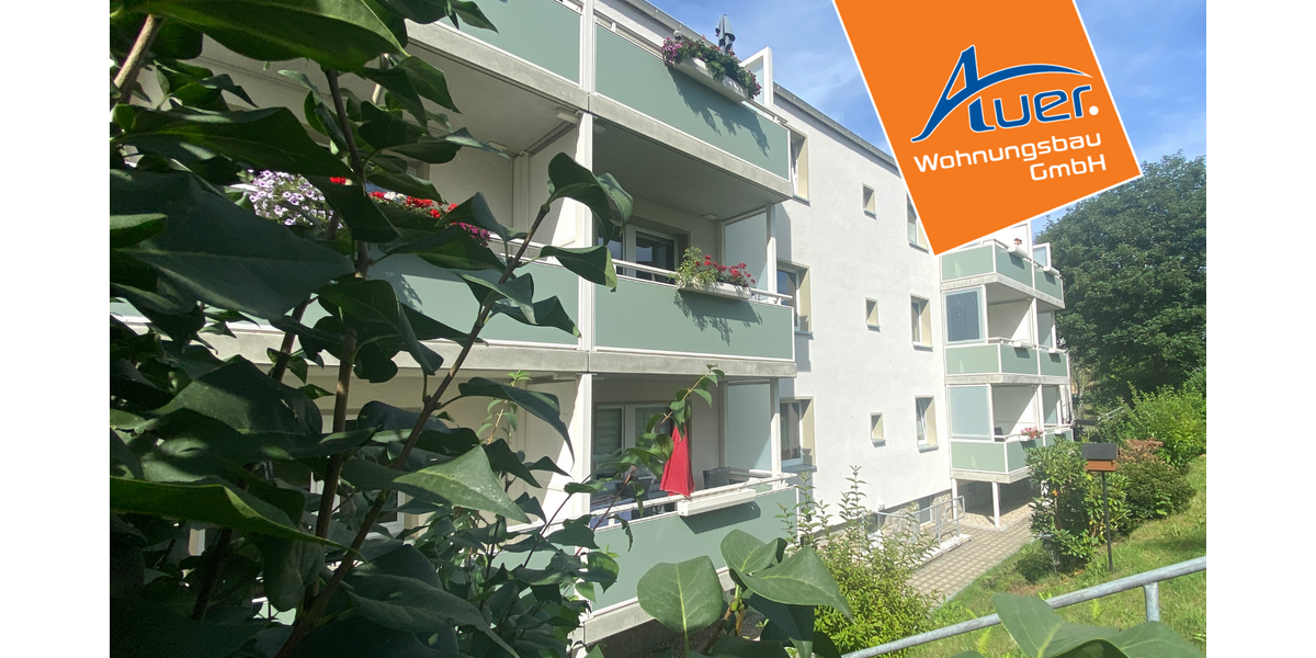 Etagenwohnung Aue-Bad Schlema Bad Schlema - 2 Zimmer, 51 m&sup2;, 294&euro; | Angebot:25810124