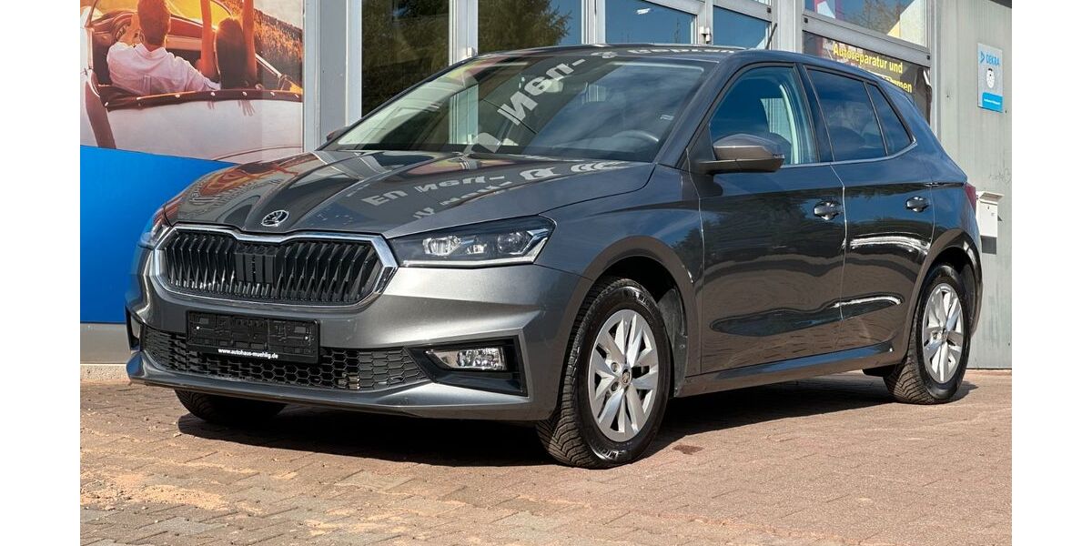 Skoda Fabia 8.250 km 18.900 &euro; Zwickau 08056