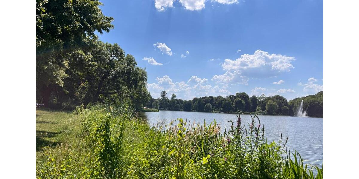 Dachgeschoßwohnung Limbach-Oberfrohna Oberfrohna - 3 Zimmer, 77 m&sup2;, 395&euro; | Angebot:24979442