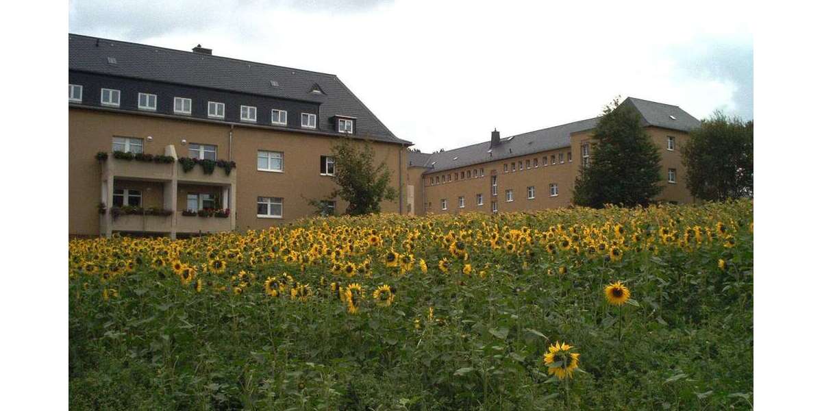 Etagenwohnung Limbach-Oberfrohna Oberfrohna - 2 Zimmer, 58 m&sup2;, 360&euro; | Angebot:27348039