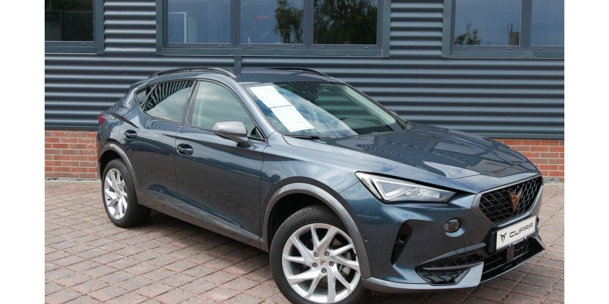 Cupra Formentor 57.490 km 24.999 &euro; Schneeberg 08289