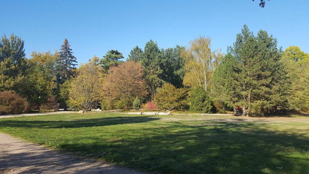 Etagenwohnung Zwickau Pölbitz - 2 Zimmer, 52 m&sup2;, 50.000&euro; | Angebot:25802832