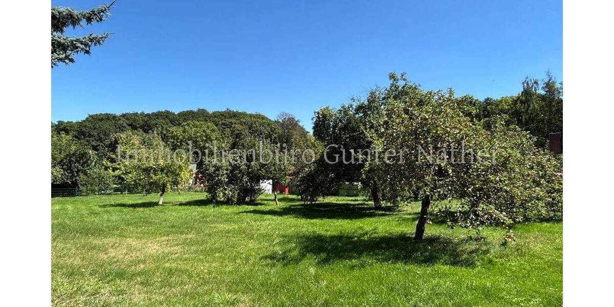 Einfamilienhaus Nobitz / Ehrenhain Ehrenhain - 5 Zimmer, 100 m&sup2;, 59.000&euro; | Angebot:25667931