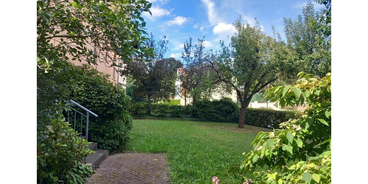 Etagenwohnung Crimmitschau - 2 Zimmer, 41 m&sup2;, 246&euro; | Angebot:25186405