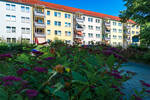 Etagenwohnung Zwickau Eckersbach - 3 Zimmer, 59 m&sup2;, 396&euro; | Angebot:26155443