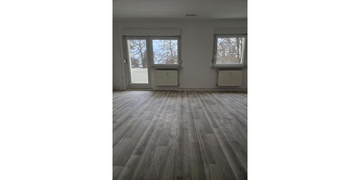 Etagenwohnung Glauchau - 3 Zimmer, 67 m&sup2;, 390&euro; | Angebot:19052303