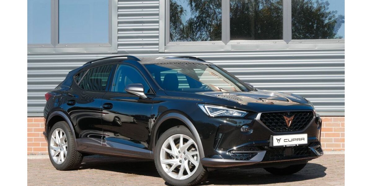 Cupra Formentor 15.490 km 27.990 &euro; Schneeberg 08289