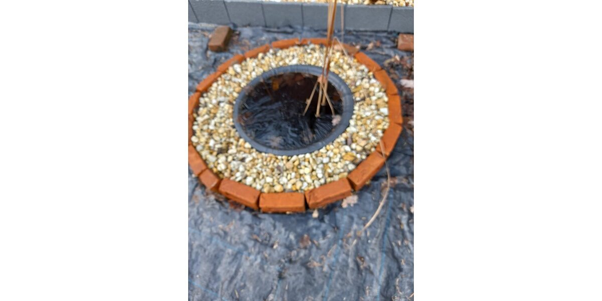 Lichtentanne, Grdst. + Bungalow - Grundstück Lichtentanne | Angebot:18333853