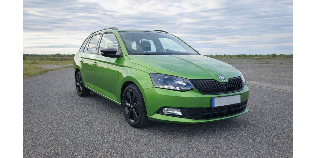 Skoda Fabia 114.000 km 9.999 &euro; Mülsen 08132