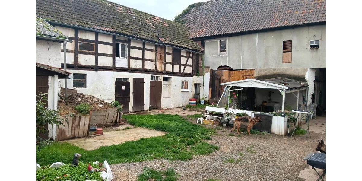 Bauernhaus, Landhaus Berga/Elster Elster - 6 Zimmer, 174 m&sup2;, 65.000&euro; | Angebot:25892640