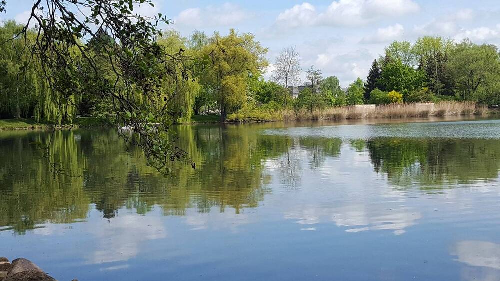 Gewerbeobjekt Zwickau Innenstadt - 4 Zimmer, 143 m&sup2;, 110.000&euro; | Angebot:25707412