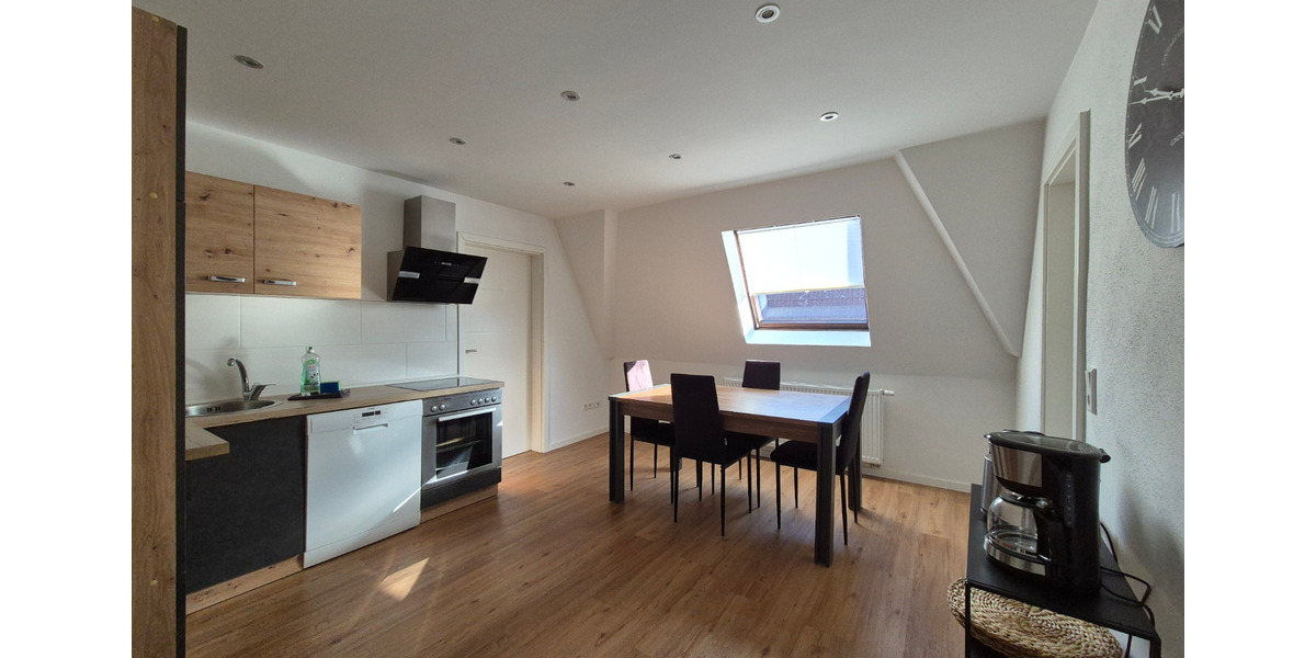 Dachgeschoßwohnung Zwickau Zwickau-Nord - 2 Zimmer, 61 m&sup2;, 700&euro; | Angebot:24533180