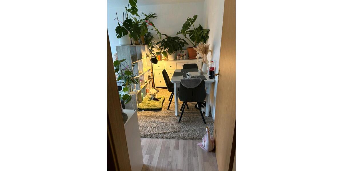 Etagenwohnung Meerane - 3 Zimmer, 64 m&sup2;, 549&euro; | Angebot:24589482