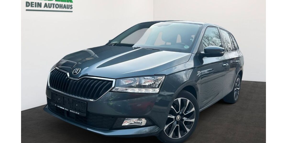 Skoda Fabia 26.590 km 15.950 &euro; Mylau 08499