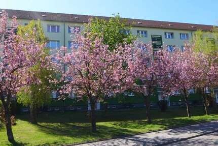 Wohnung Limbach-Oberfrohna Oberfrohna - 3 Zimmer, 57 m&sup2;, 320&euro; | Angebot:27009985