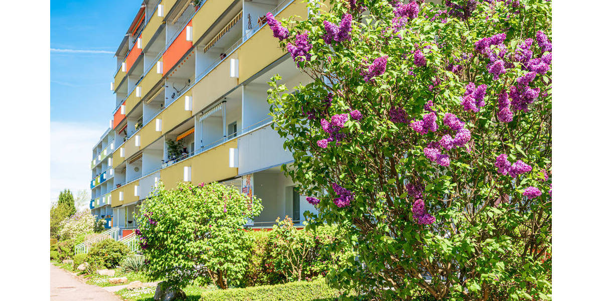 Etagenwohnung Zwickau Eckersbach - 3 Zimmer, 71 m&sup2;, 412&euro; | Angebot:25771300