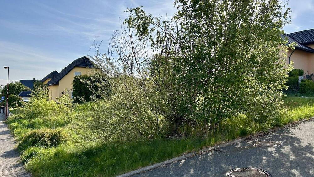 Grundstück Auerbach Hinterhain - 30.000&euro; | Angebot:25662069