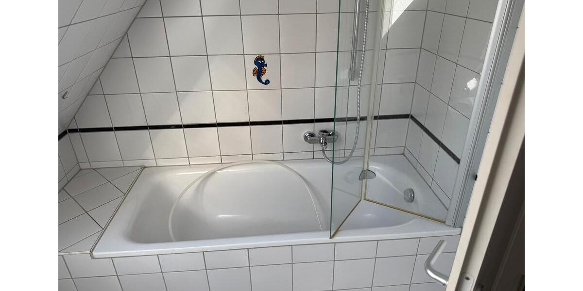 Dachgeschoßwohnung Zwickau Zwickau-Nord - 2 Zimmer, 45 m&sup2;, 390&euro; | Angebot:25283027